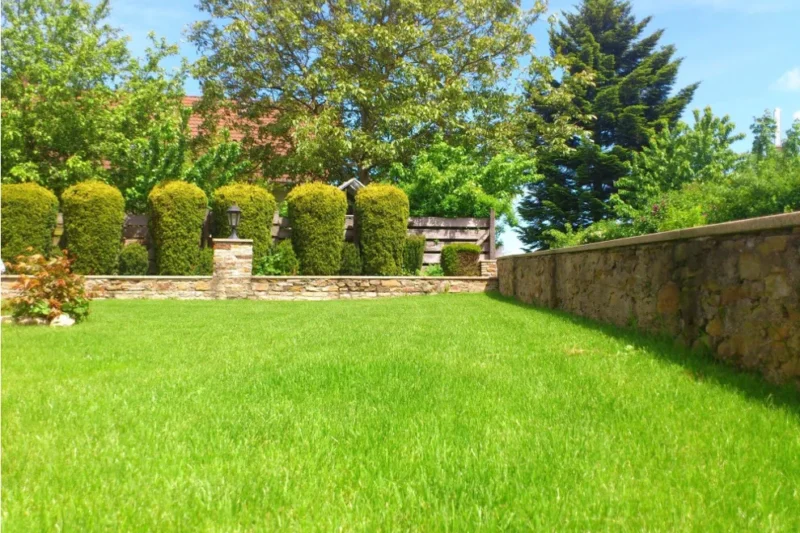 Sustainable Landscaping Techniques for Urban Spaces