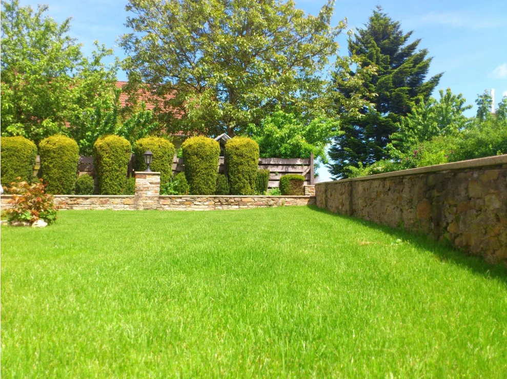 Sustainable Landscaping Techniques for Urban Spaces